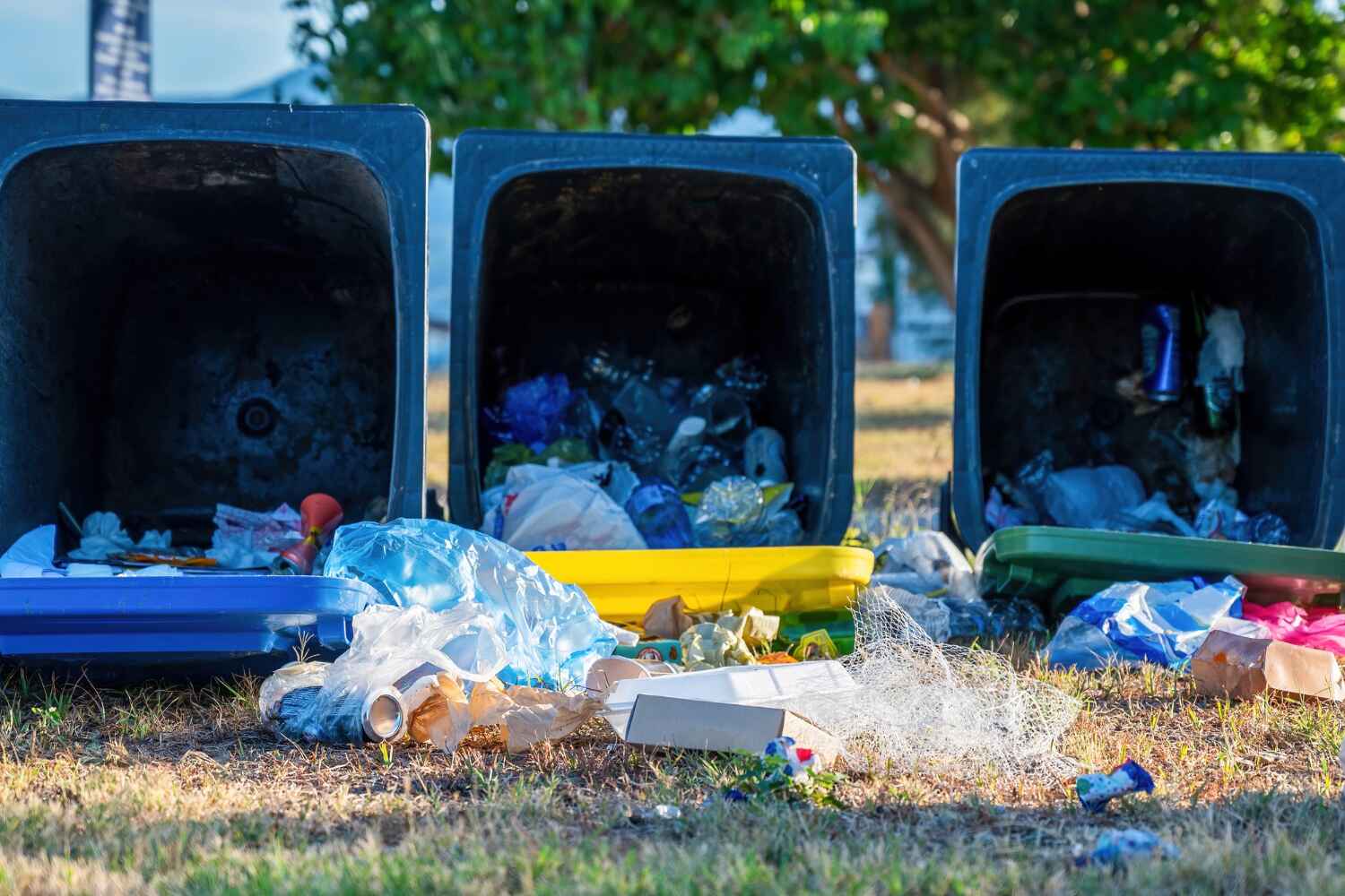 Kingsford Heights, IN Junk Removal Company